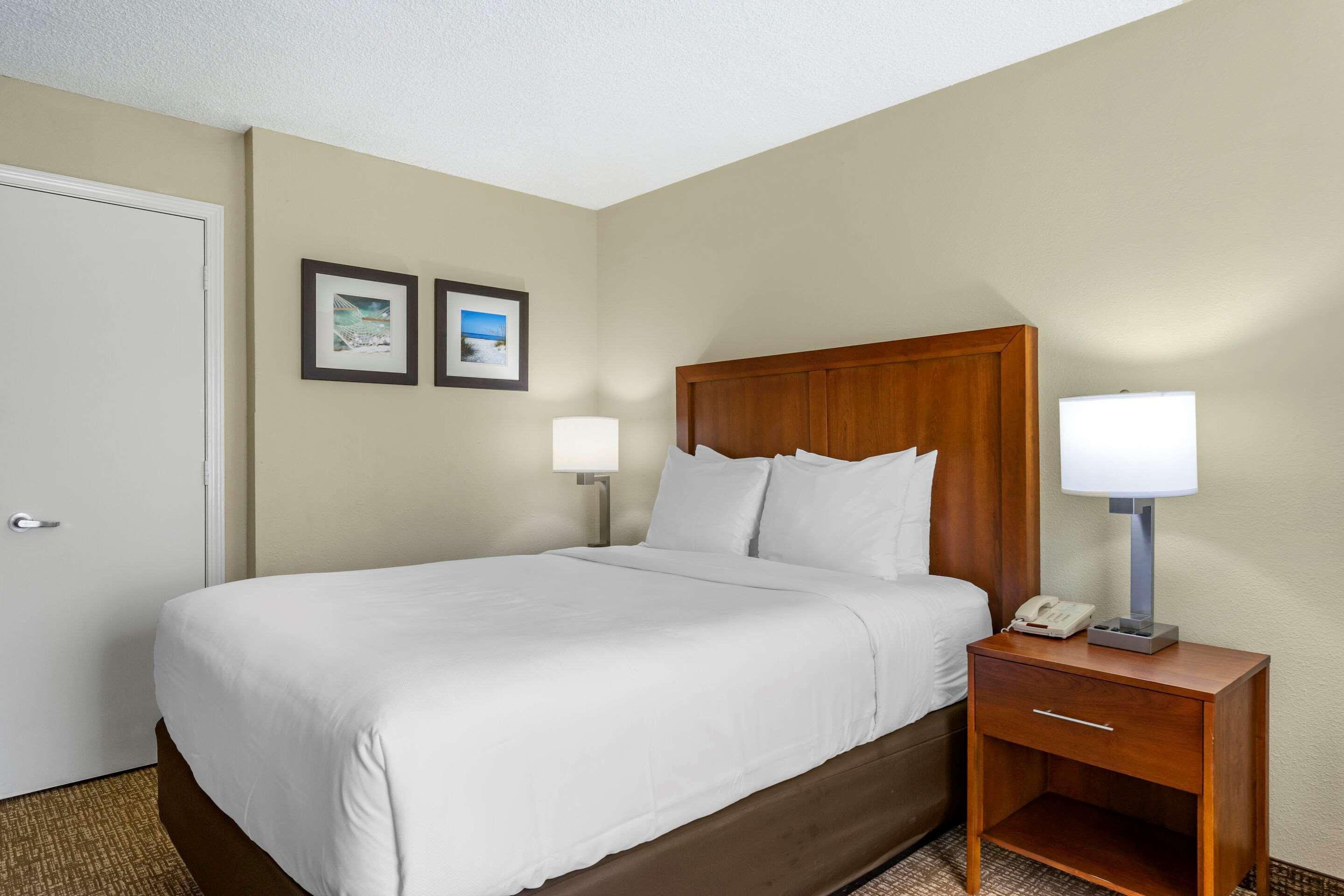 Comfort Inn & Suites St Pete - Clearwater International Airport Esterno foto