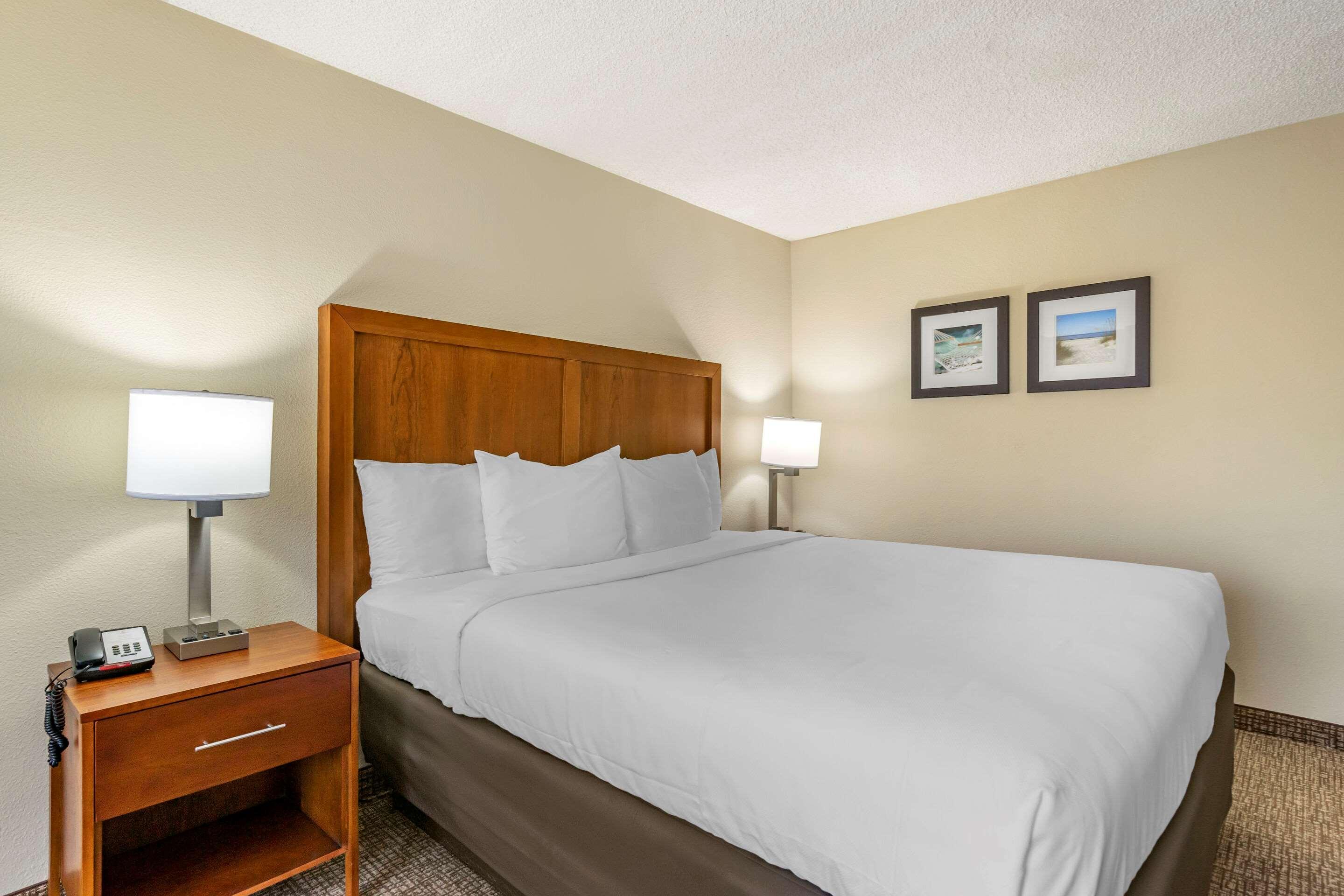 Comfort Inn & Suites St Pete - Clearwater International Airport Esterno foto