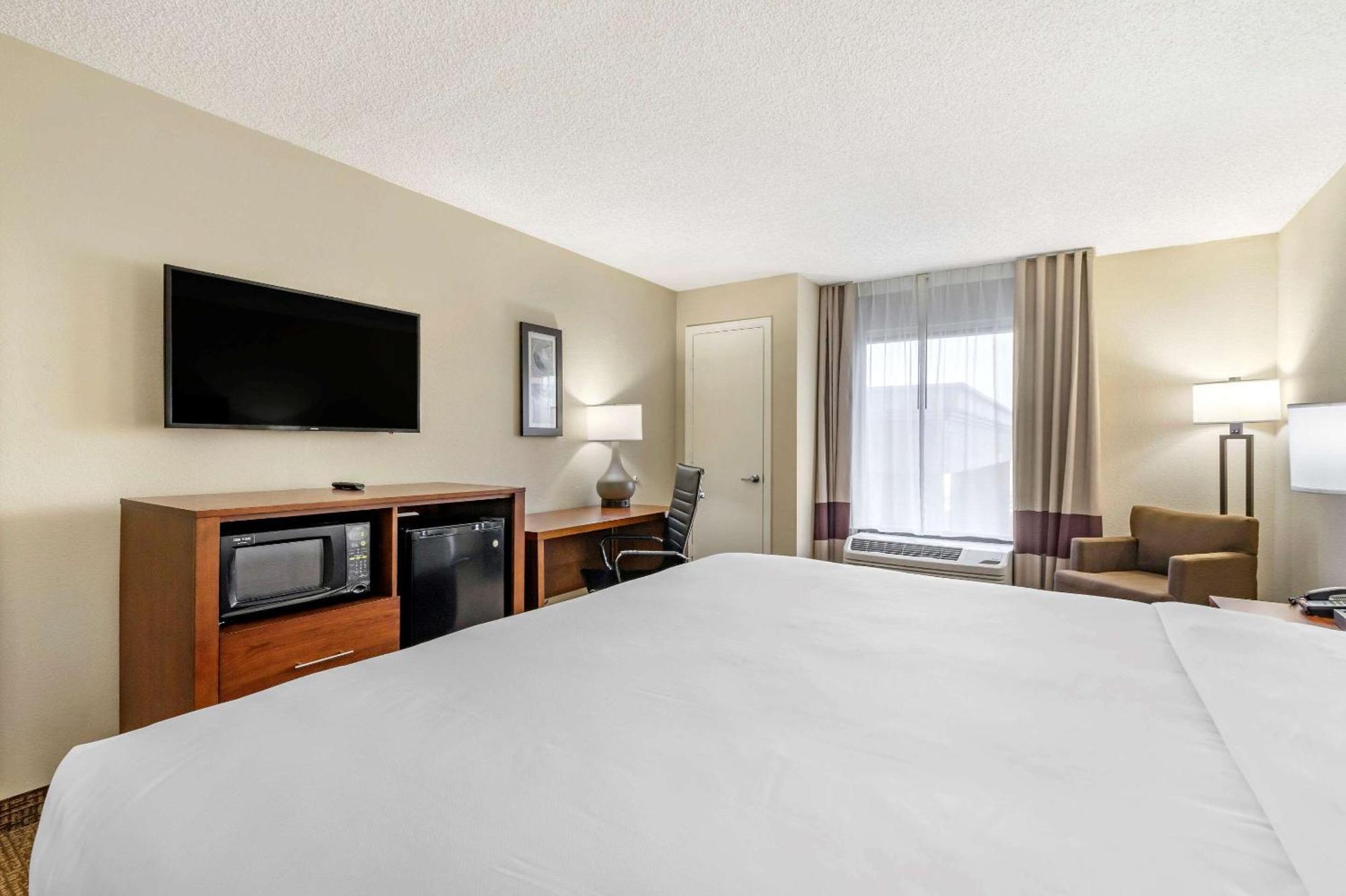 Comfort Inn & Suites St Pete - Clearwater International Airport Esterno foto