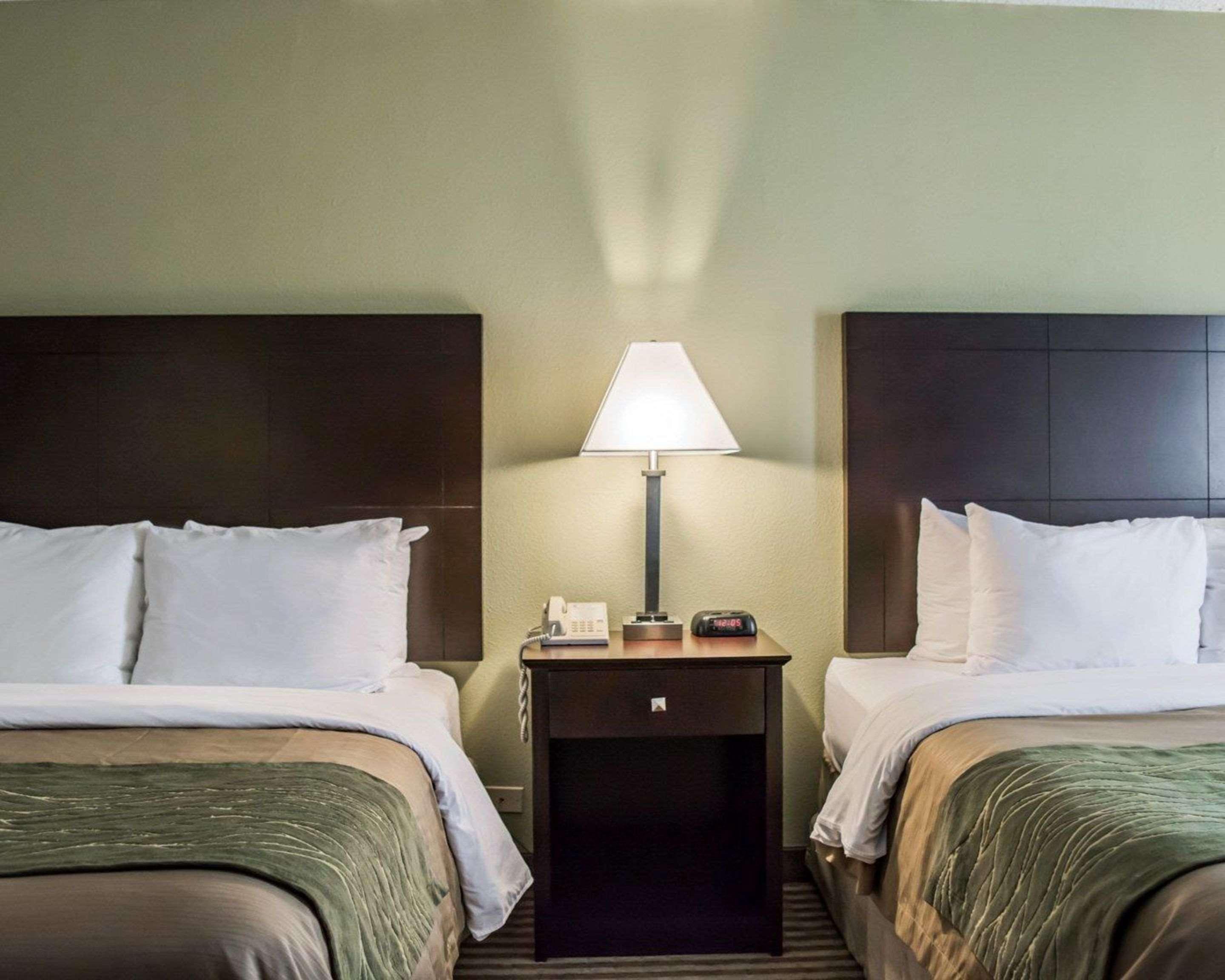 Comfort Inn & Suites St Pete - Clearwater International Airport Esterno foto