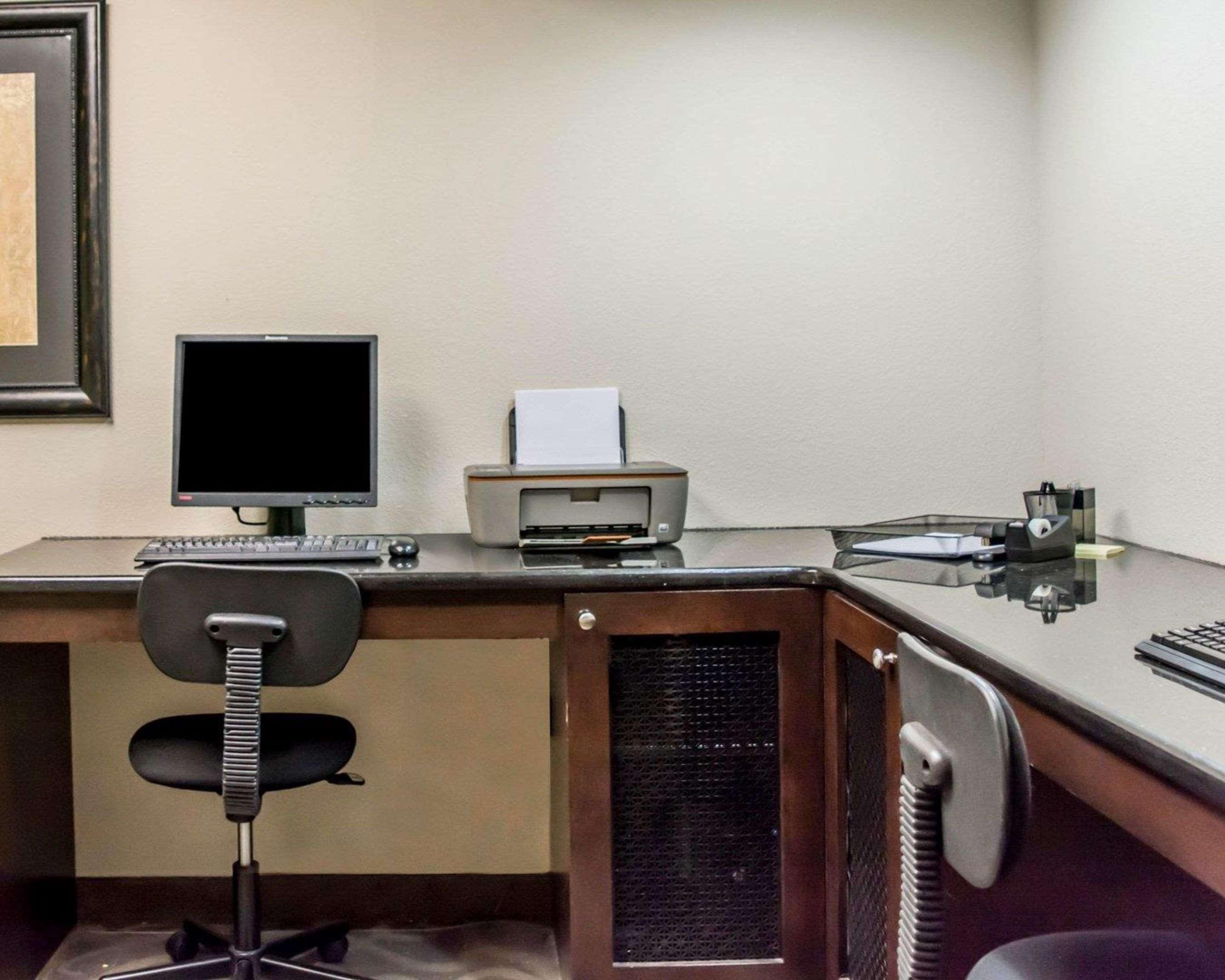 Comfort Inn & Suites St Pete - Clearwater International Airport Esterno foto
